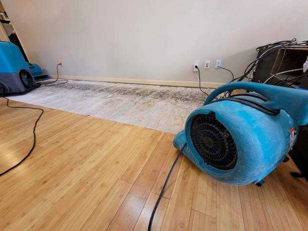 Professional Sewage Cleanup technician working in Parrottsville, TN